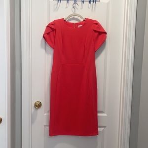 3 for $45 - Calvin Klein Dress